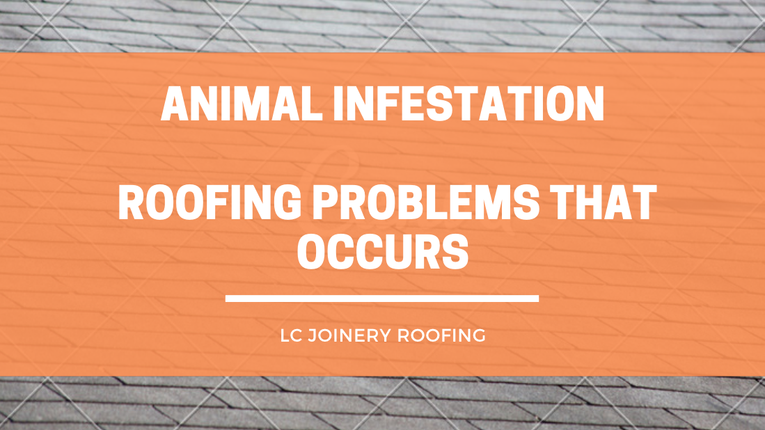 Animal Infestation - Roofing Problems That Occurs