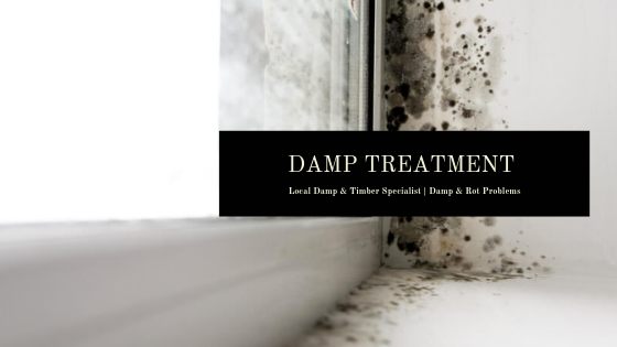 Damp Treatment