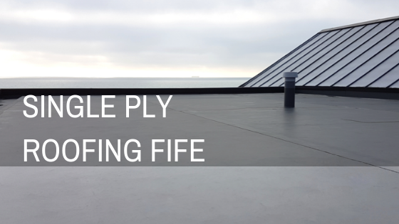 SINGLE PLY ROOFING FIFE