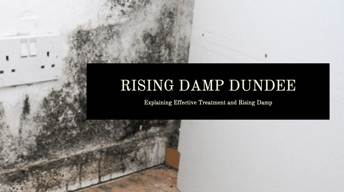 Rising Damp Dundee