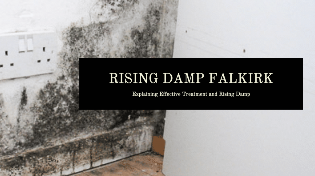 Rising Damp Falkirk