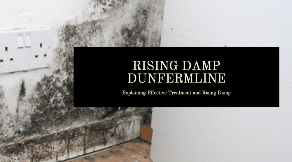 Rising Damp Dunfermline