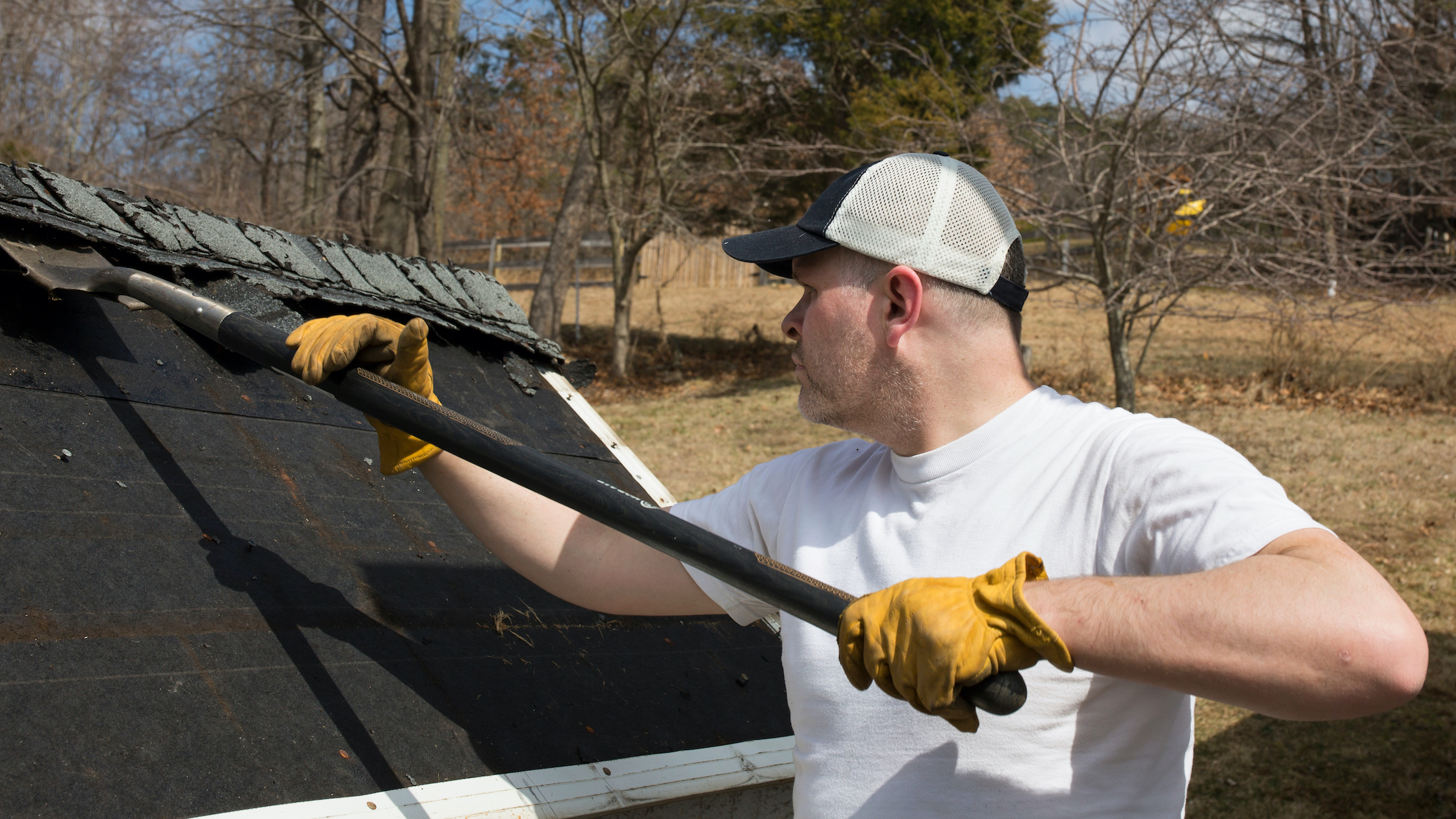 Shed roof repairs